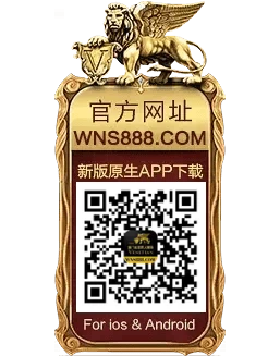 wns888